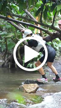 BIB:  <button type="button" onclick="openModal(27824478)" class="btn btn-primary btn-sm float-right" data-toggle="modal" data-target=".modal-high-quality">
                <i class="fa fa-download"></i> Download
                </button>